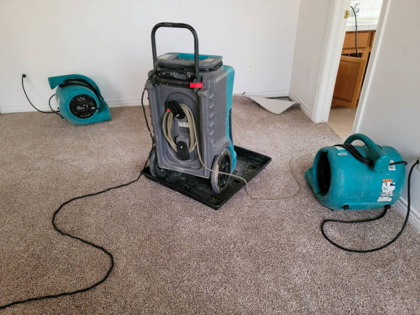 Best 24-hour water damage restoration  in Barrington, NJ