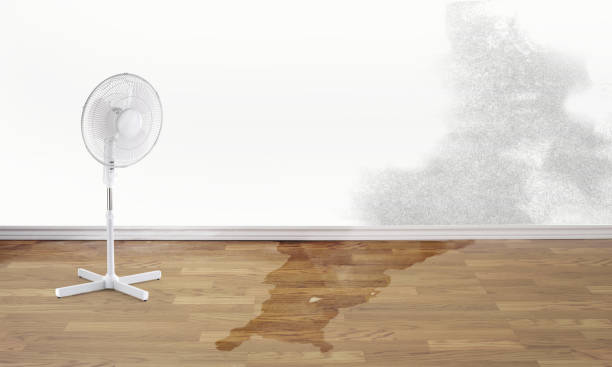 Best Flooded house restoration  in Barrington, NJ