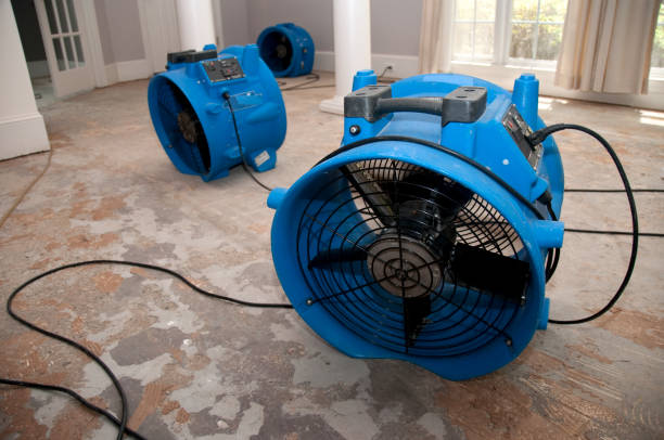 Best Sewage cleanup and water damage restoration  in Barrington, NJ