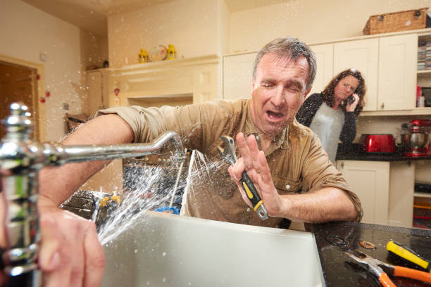 Best Water damage cleanup near me  in Barrington, NJ
